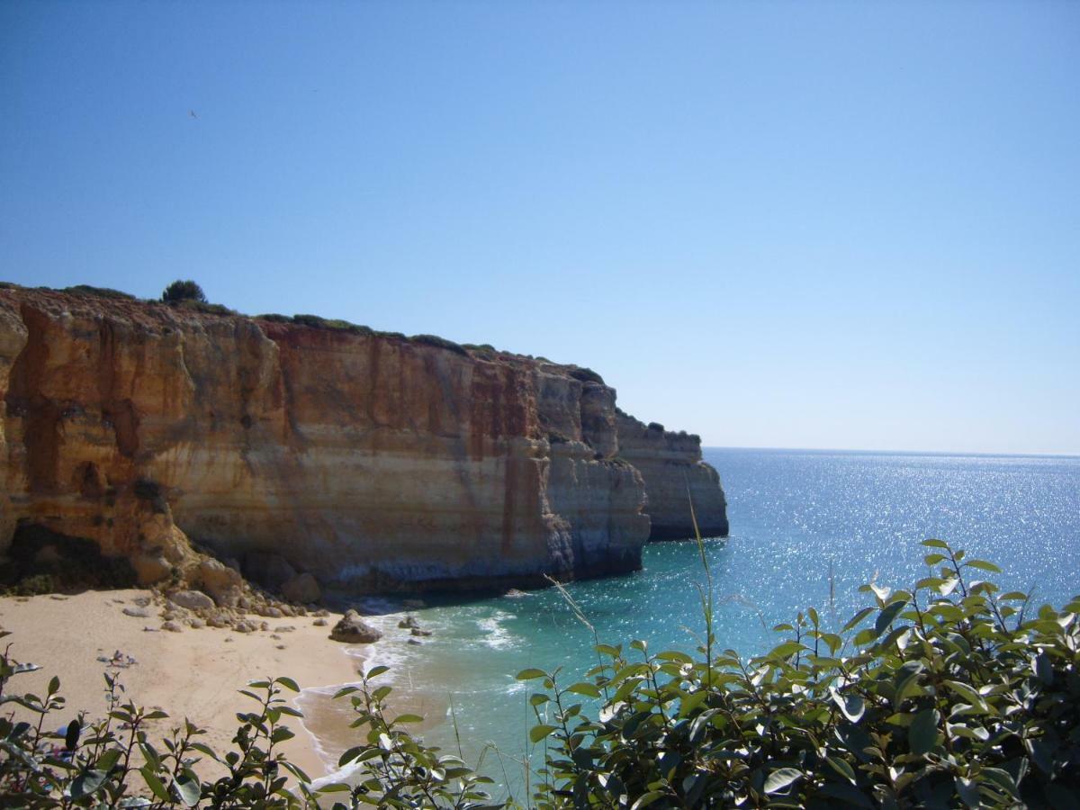 Quinta Do Pinheiro Manso - Holidays Villa - Marinha Beach Карвоейру Экстерьер фото