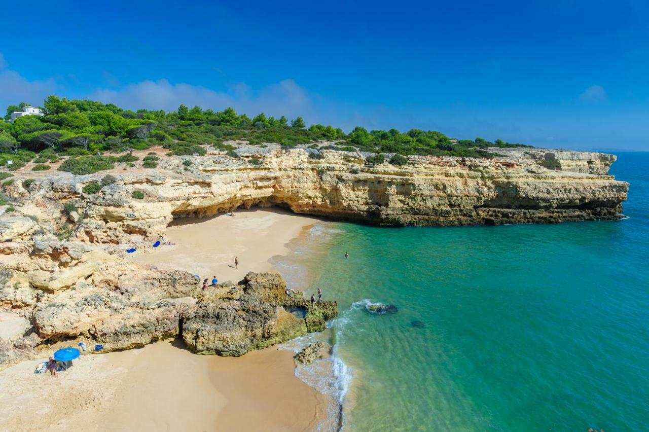Quinta Do Pinheiro Manso - Holidays Villa - Marinha Beach Карвоейру Экстерьер фото